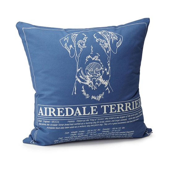 Odacix 110 Bueno Ranza Genç Odası Takımı - Kırmızı / Beyaz